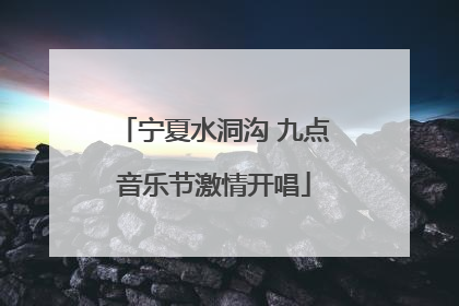 宁夏水洞沟 九点音乐节激情开唱
