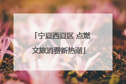宁夏西夏区 点燃文旅消费新热潮