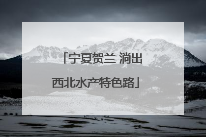 宁夏贺兰 淌出西北水产特色路