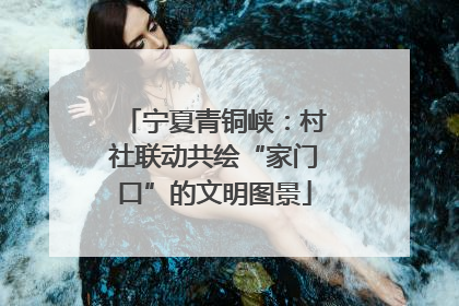 宁夏青铜峡：村社联动共绘“家门口”的文明图景