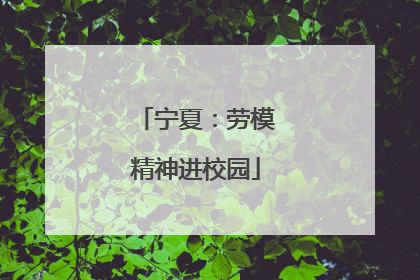 宁夏：劳模精神进校园