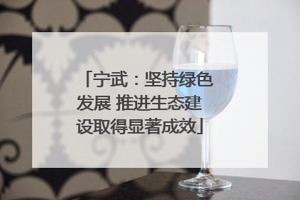 宁武：坚持绿色发展 推进生态建设取得显著成效