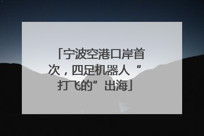 宁波空港口岸首次，四足机器人“打飞的”出海