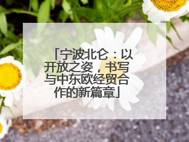 宁波北仑：以开放之姿，书写与中东欧经贸合作的新篇章