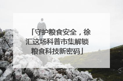 守护粮食安全，徐汇这场科普市集解锁粮食科技新密码