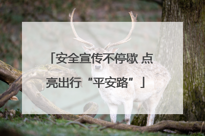安全宣传不停歇 点亮出行“平安路”