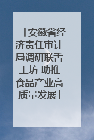 安徽省经济责任审计局调研联舌工坊 助推食品产业高质量发展