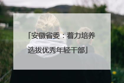 安徽省委：着力培养选拔优秀年轻干部