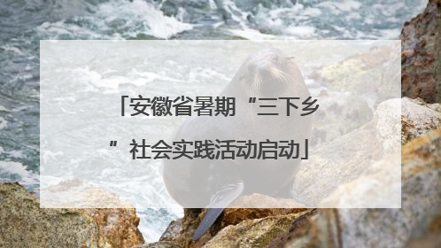 安徽省暑期“三下乡”社会实践活动启动