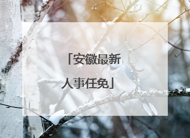 安徽最新人事任免