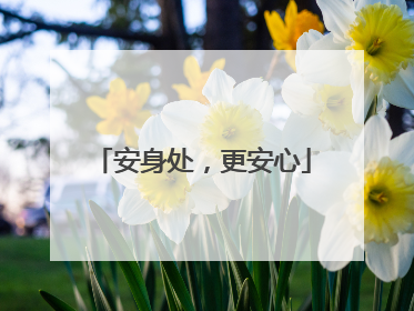 安身处，更安心