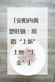 安阳内黄楚旺镇：思路“上新” 土地“生金”