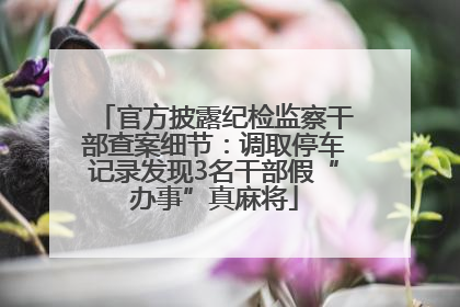 官方披露纪检监察干部查案细节：调取停车记录发现3名干部假“办事”真麻将