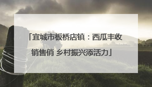宜城市板桥店镇：西瓜丰收销售俏 乡村振兴添活力