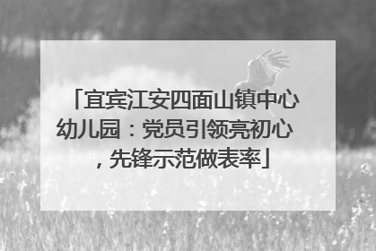 宜宾江安四面山镇中心幼儿园：党员引领亮初心，先锋示范做表率