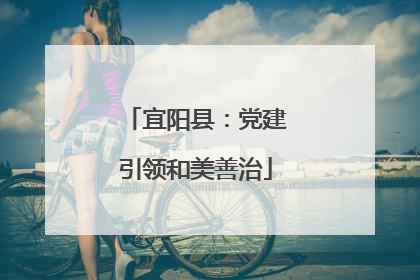 宜阳县：党建引领和美善治
