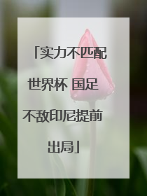 实力不匹配世界杯 国足不敌印尼提前出局