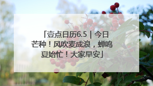 壹点日历6.5｜今日芒种！风吹麦成浪，蝉鸣夏始忙！大家早安