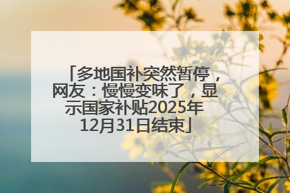 多地国补突然暂停，网友：慢慢变味了，显示国家补贴2025年12月31日结束