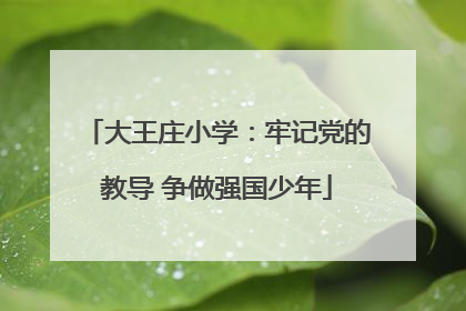 大王庄小学：牢记党的教导 争做强国少年