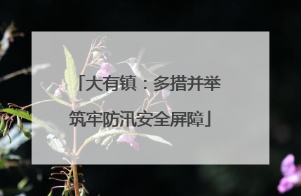 大有镇：多措并举筑牢防汛安全屏障