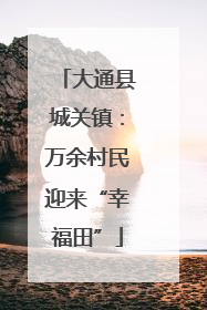 大通县城关镇：万余村民迎来“幸福田”