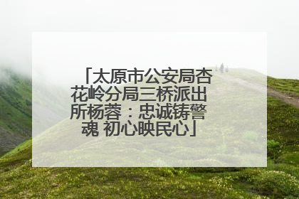 太原市公安局杏花岭分局三桥派出所杨蓉：忠诚铸警魂 初心映民心