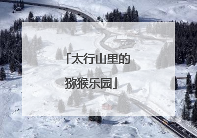 太行山里的猕猴乐园