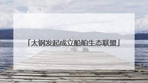 太钢发起成立船舶生态联盟