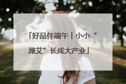 好品伴端午丨小小“潍艾”长成大产业