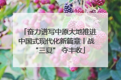 奋力谱写中原大地推进中国式现代化新篇章丨战“三夏” 夺丰收