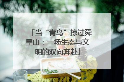 当“青鸟”掠过舜皇山：一场生态与文明的双向奔赴
