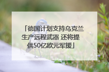 德国计划支持乌克兰生产远程武器 还将提供50亿欧元军援