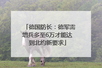 德国防长：德军需增兵多至6万才能达到北约新要求