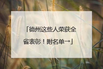 德州这些人荣获全省表彰！附名单→