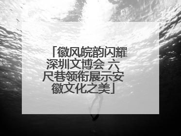徽风皖韵闪耀深圳文博会 六尺巷领衔展示安徽文化之美