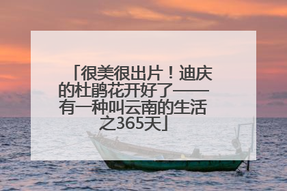 很美很出片！迪庆的杜鹃花开好了——有一种叫云南的生活之365天