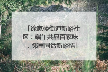 徐家楼街道新峪社区：端午共品百家味，邻里同话新峪情