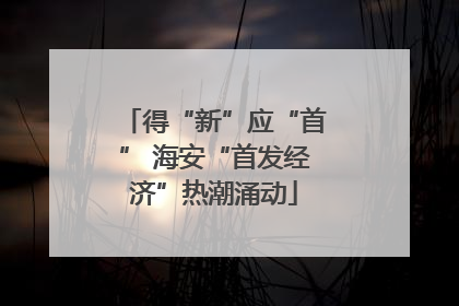 得“新”应“首” 海安“首发经济”热潮涌动
