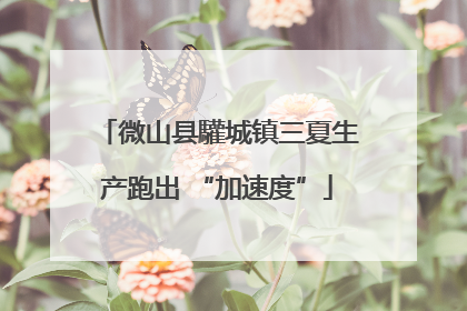 微山县驩城镇三夏生产跑出 “加速度”