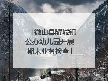 微山县驩城镇公办幼儿园开展期末业务检查