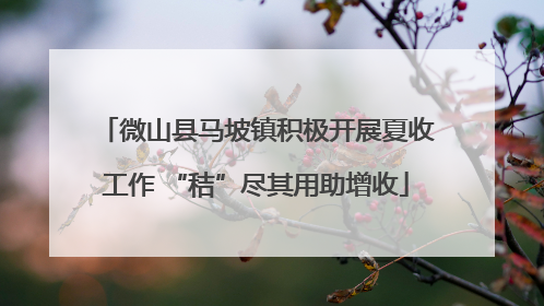 微山县马坡镇积极开展夏收工作 “秸”尽其用助增收