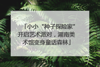 小小“种子探险家”开启艺术派对，湖南美术馆变身童话森林