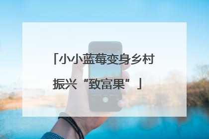 小小蓝莓变身乡村振兴“致富果”