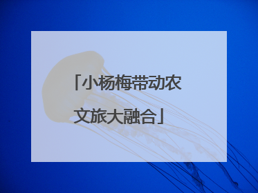小杨梅带动农文旅大融合