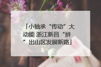 小轴承“传动”大动能 浙江新昌“拼”出山区发展新路