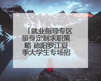 就业指导专区量身定制求职策略 德阳罗江夏季大学生专场招聘会成功举办