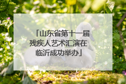 山东省第十一届残疾人艺术汇演在临沂成功举办