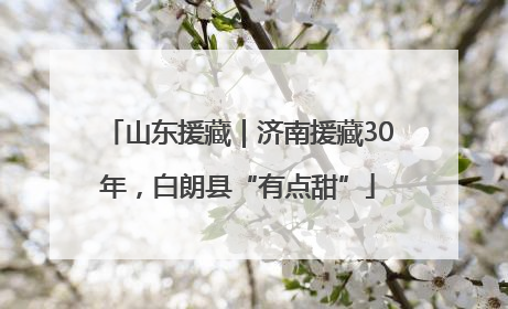 山东援藏｜济南援藏30年，白朗县“有点甜”