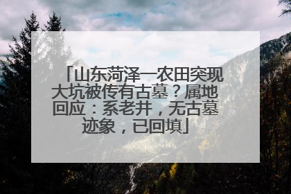 山东菏泽一农田突现大坑被传有古墓？属地回应：系老井，无古墓迹象，已回填
